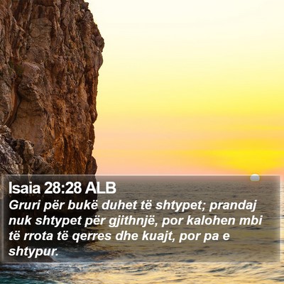Isaia 28:28 ALB Bible Verse Image