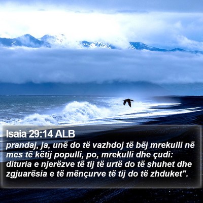 Isaia 29:14 ALB Bible Verse Image