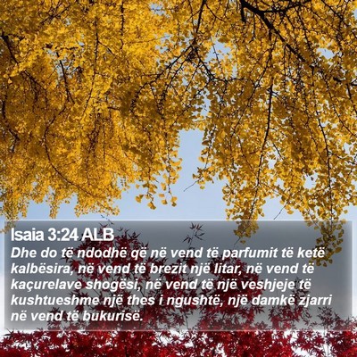 Isaia 3:24 ALB Bible Verse Image