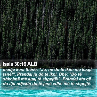 Isaia 30:16 ALB Bible Verse Image