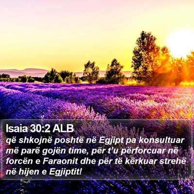 Isaia 30:2 ALB Bible Verse Image