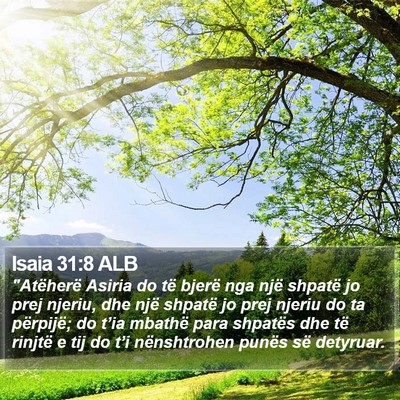 Isaia 31:8 ALB Bible Verse Image