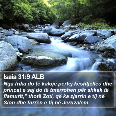 Isaia 31:9 ALB Bible Verse Image