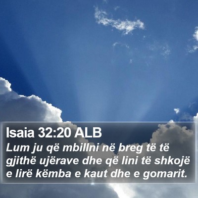 Isaia 32:20 ALB Bible Verse Image