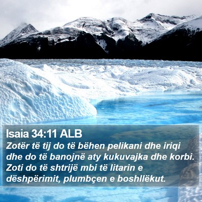Isaia 34:11 ALB Bible Verse Image