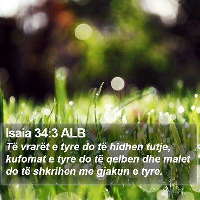 Isaia 34:3 ALB Bible Verse Image
