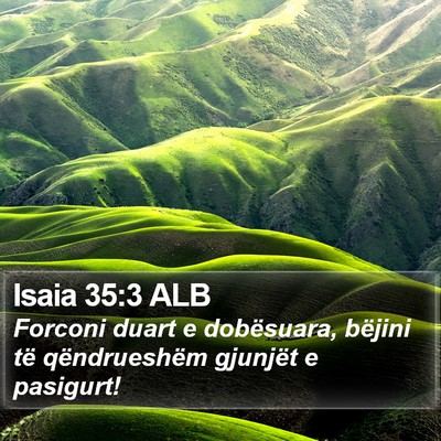 Isaia 35:3 ALB Bible Verse Image