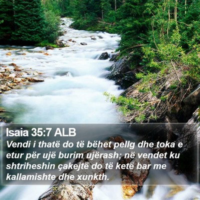 Isaia 35:7 ALB Bible Verse Image