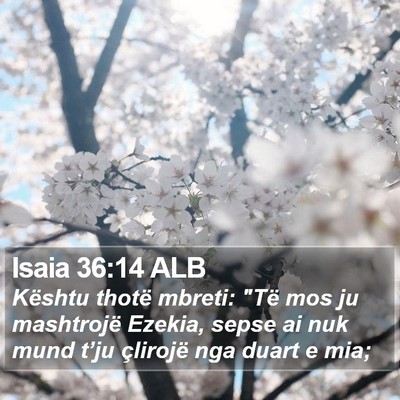 Isaia 36:14 ALB Bible Verse Image