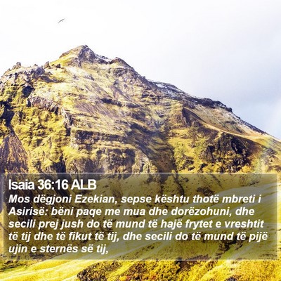 Isaia 36:16 ALB Bible Verse Image