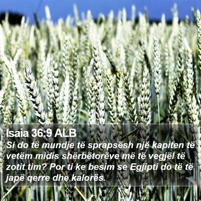 Isaia 36:9 ALB Bible Verse Image