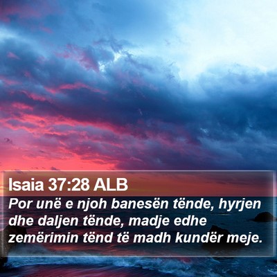 Isaia 37:28 ALB Bible Verse Image