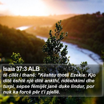 Isaia 37:3 ALB Bible Verse Image