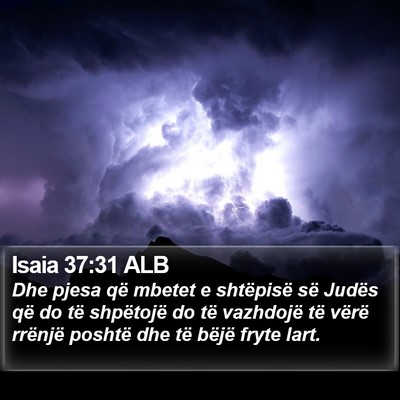 Isaia 37:31 ALB Bible Verse Image