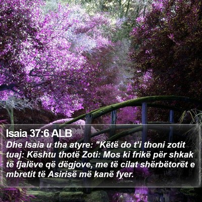Isaia 37:6 ALB Bible Verse Image
