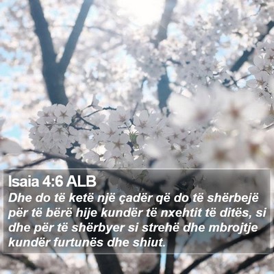 Isaia 4:6 ALB Bible Verse Image