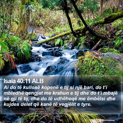 Isaia 40:11 ALB Bible Verse Image