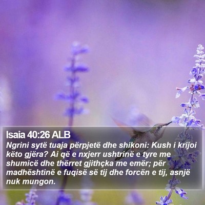 Isaia 40:26 ALB Bible Verse Image