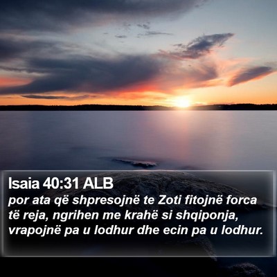 Isaia 40:31 ALB Bible Verse Image