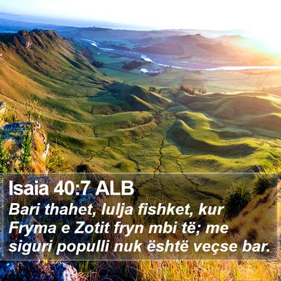 Isaia 40:7 ALB Bible Verse Image