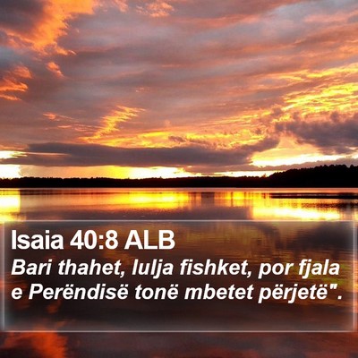 Isaia 40:8 ALB Bible Verse Image