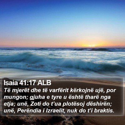 Isaia 41:17 ALB Bible Verse Image