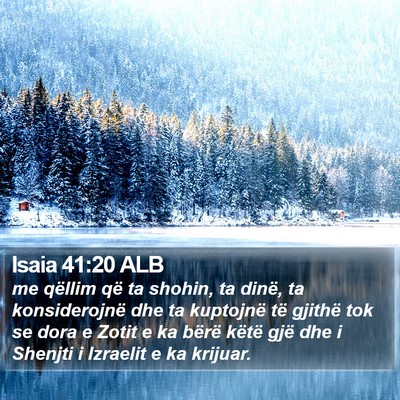 Isaia 41:20 ALB Bible Verse Image