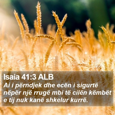 Isaia 41:3 ALB Bible Verse Image
