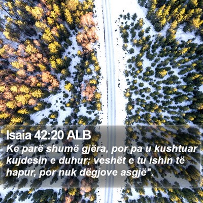 Isaia 42:20 ALB Bible Verse Image