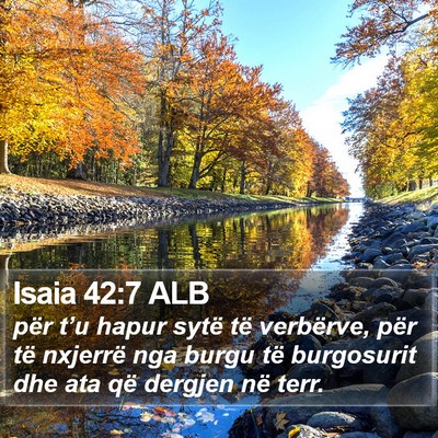 Isaia 42:7 ALB Bible Verse Image