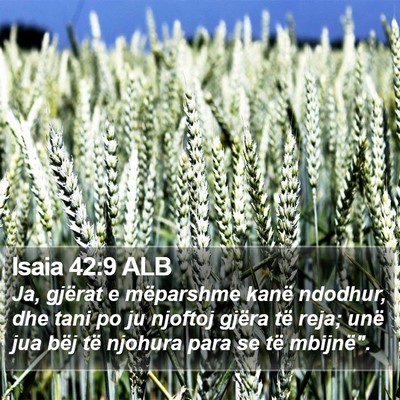 Isaia 42:9 ALB Bible Verse Image