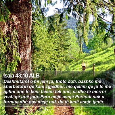 Isaia 43:10 ALB Bible Verse Image