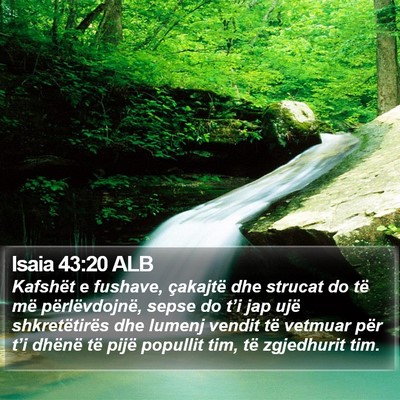 Isaia 43:20 ALB Bible Verse Image