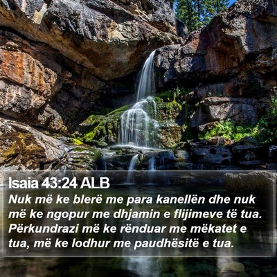 Isaia 43:24 ALB Bible Verse Image