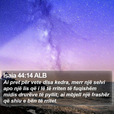 Isaia 44:14 ALB Bible Verse Image