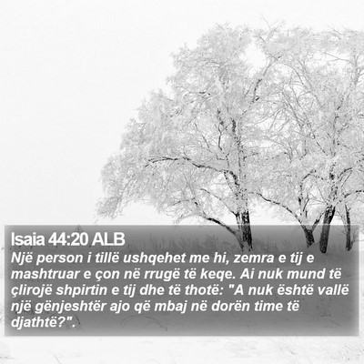 Isaia 44:20 ALB Bible Verse Image