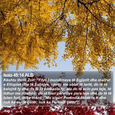 Isaia 45:14 ALB Bible Verse Image