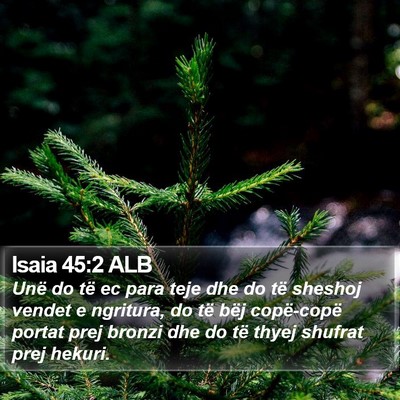 Isaia 45:2 ALB Bible Verse Image