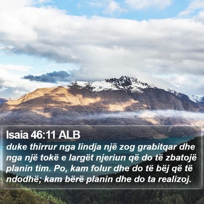 Isaia 46:11 ALB Bible Verse Image