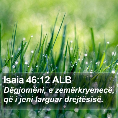 Isaia 46:12 ALB Bible Verse Image