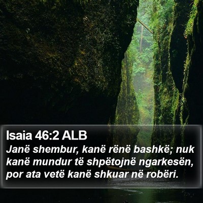 Isaia 46:2 ALB Bible Verse Image