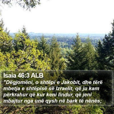 Isaia 46:3 ALB Bible Verse Image