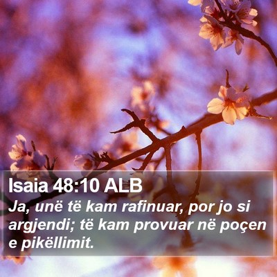 Isaia 48:10 ALB Bible Verse Image
