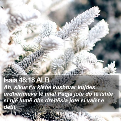 Isaia 48:18 ALB Bible Verse Image