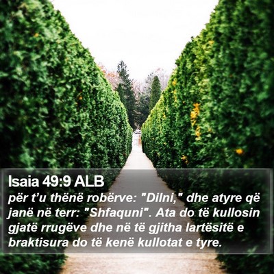 Isaia 49:9 ALB Bible Verse Image