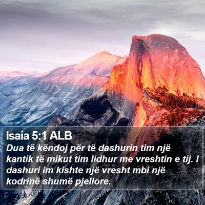 Isaia 5:1 ALB Bible Verse Image