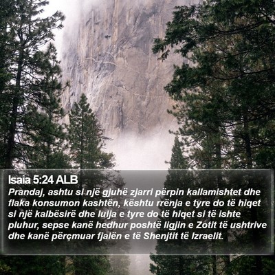 Isaia 5:24 ALB Bible Verse Image