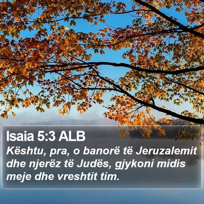 Isaia 5:3 ALB Bible Verse Image
