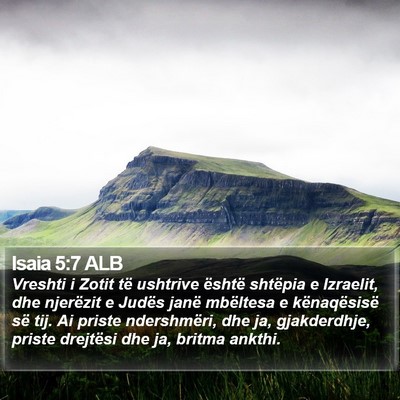 Isaia 5:7 ALB Bible Verse Image