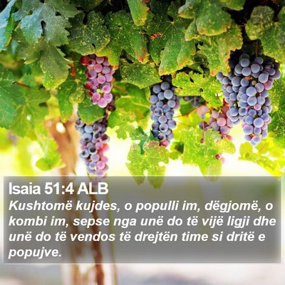 Isaia 51:4 ALB Bible Verse Image